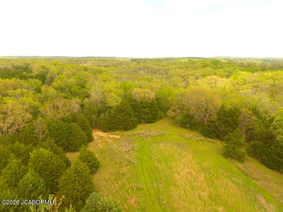 111 Hwy Bb Property Photo 86
