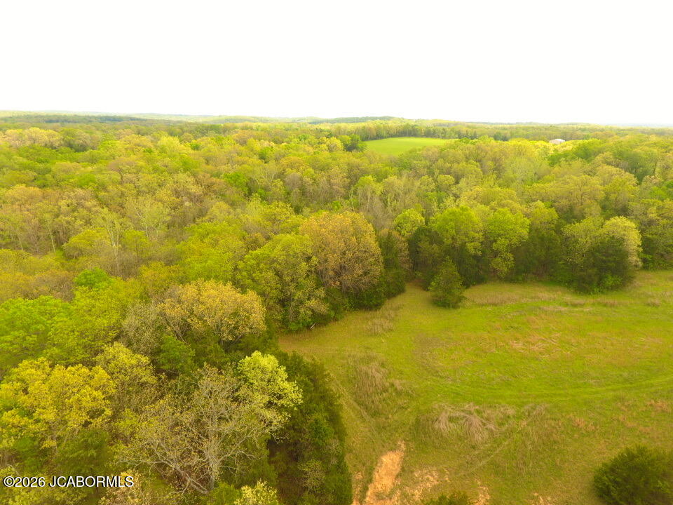 111 Hwy Bb Property Photo 87