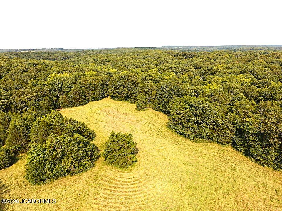 111 Hwy Bb Property Photo 92