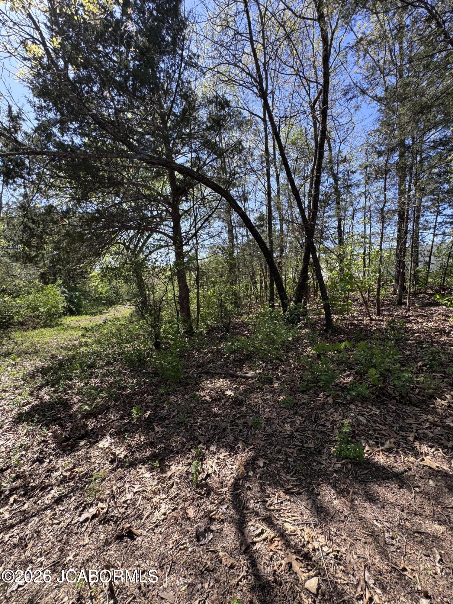 Tbd Edwards Dr Property Photo 3