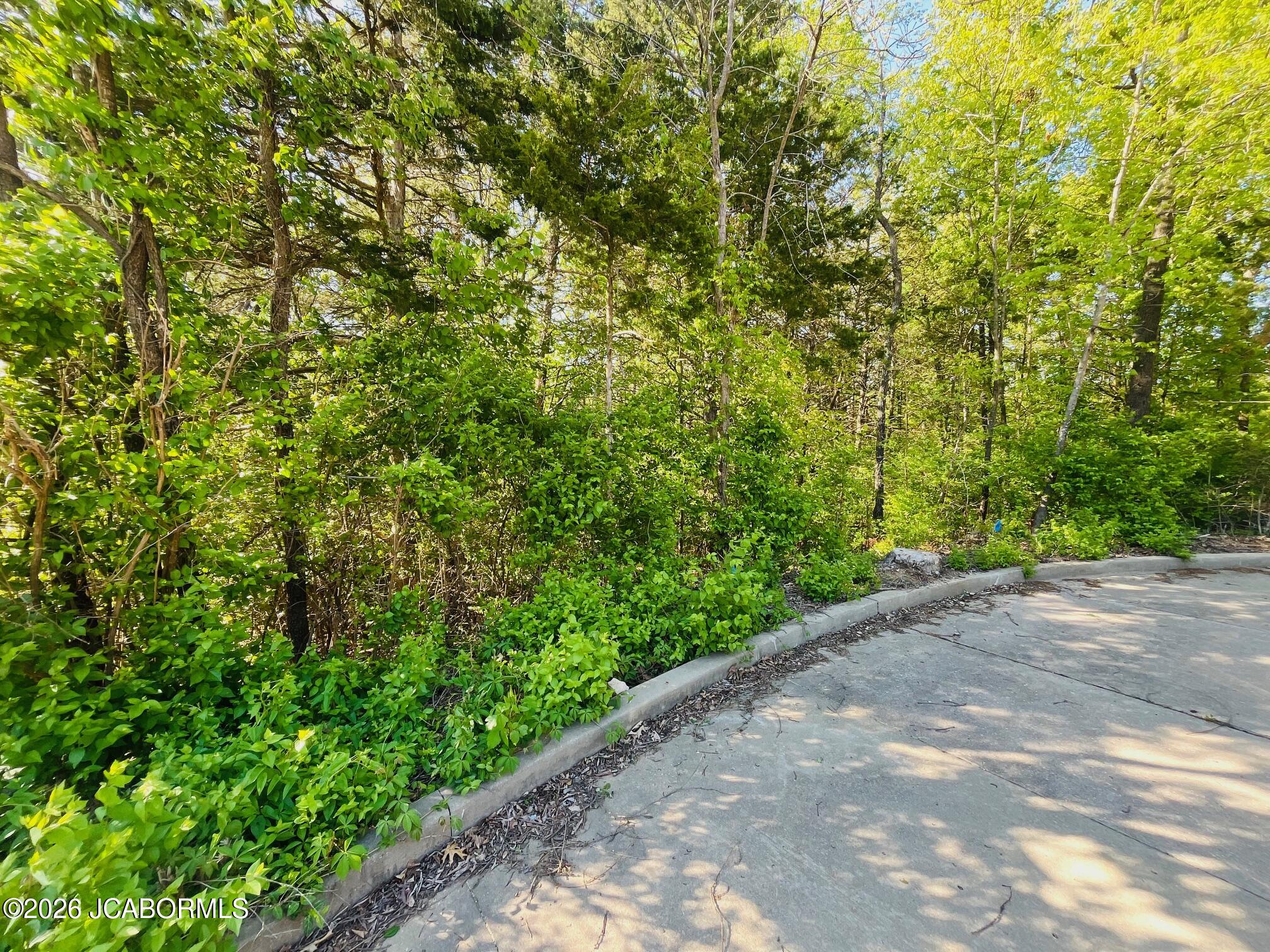 LOT 67 WOODSTONE RISE