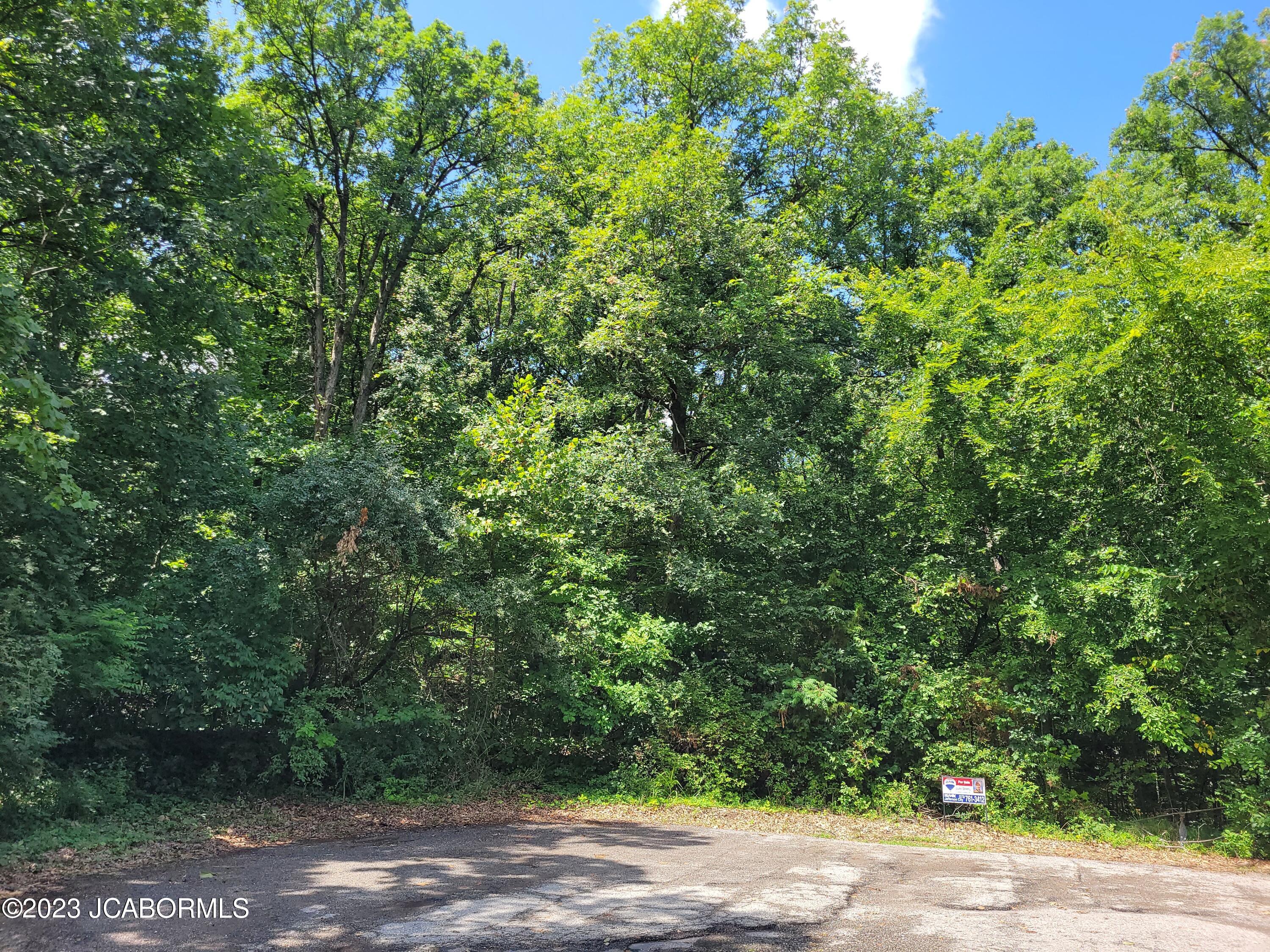 TBD BRIARWOOD DRIVE