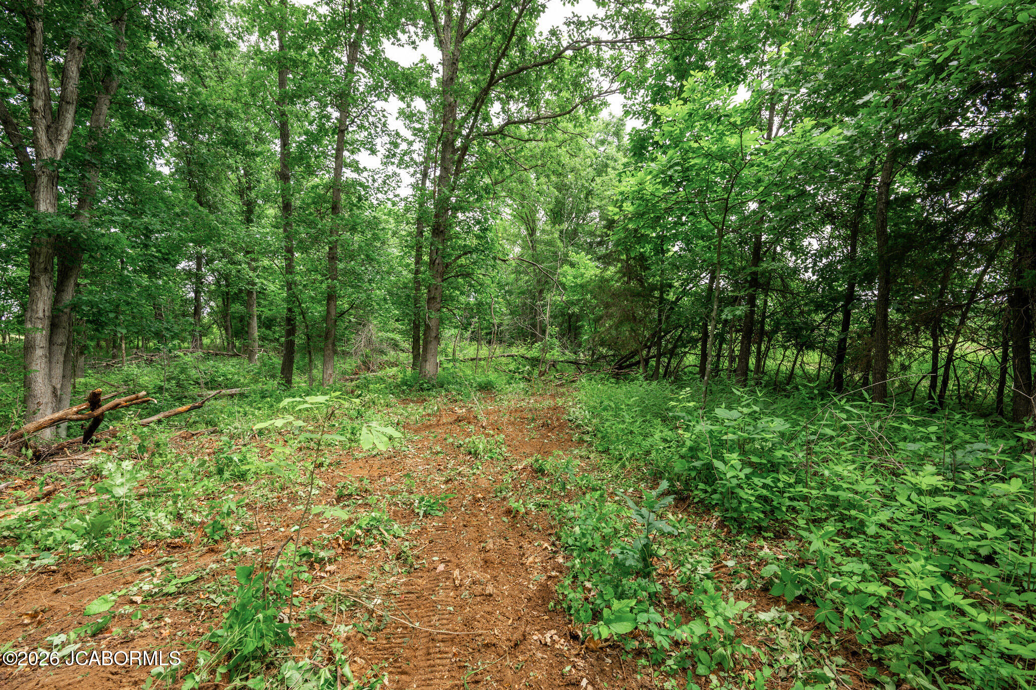 26 Halyon Estates Property Photo 7