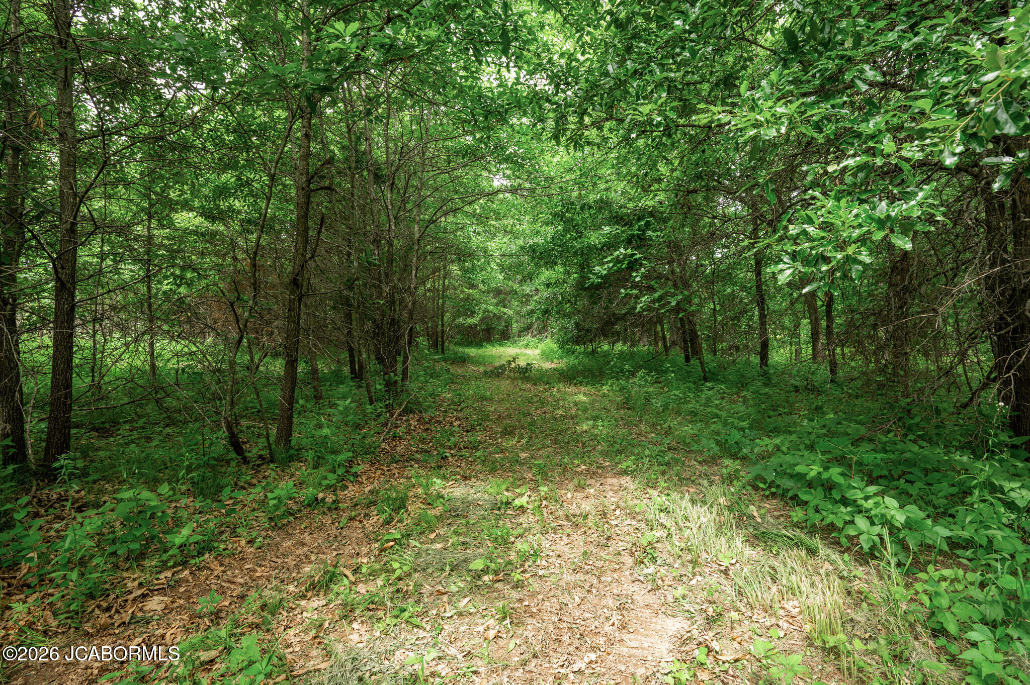 27 Halyon Estates Property Photo 8