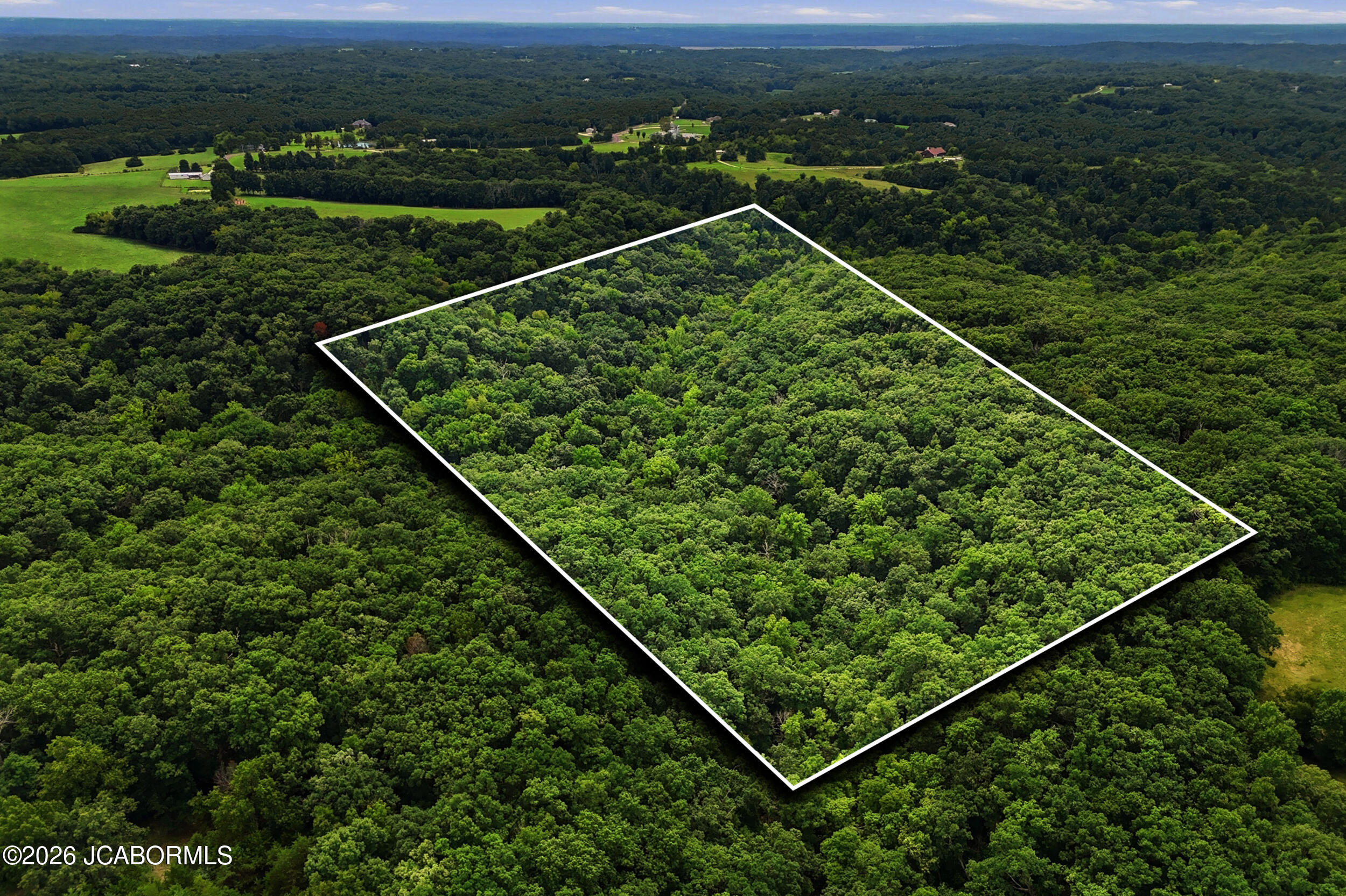 40 +/- AC E DEE WOODS ROAD Property Photo 1