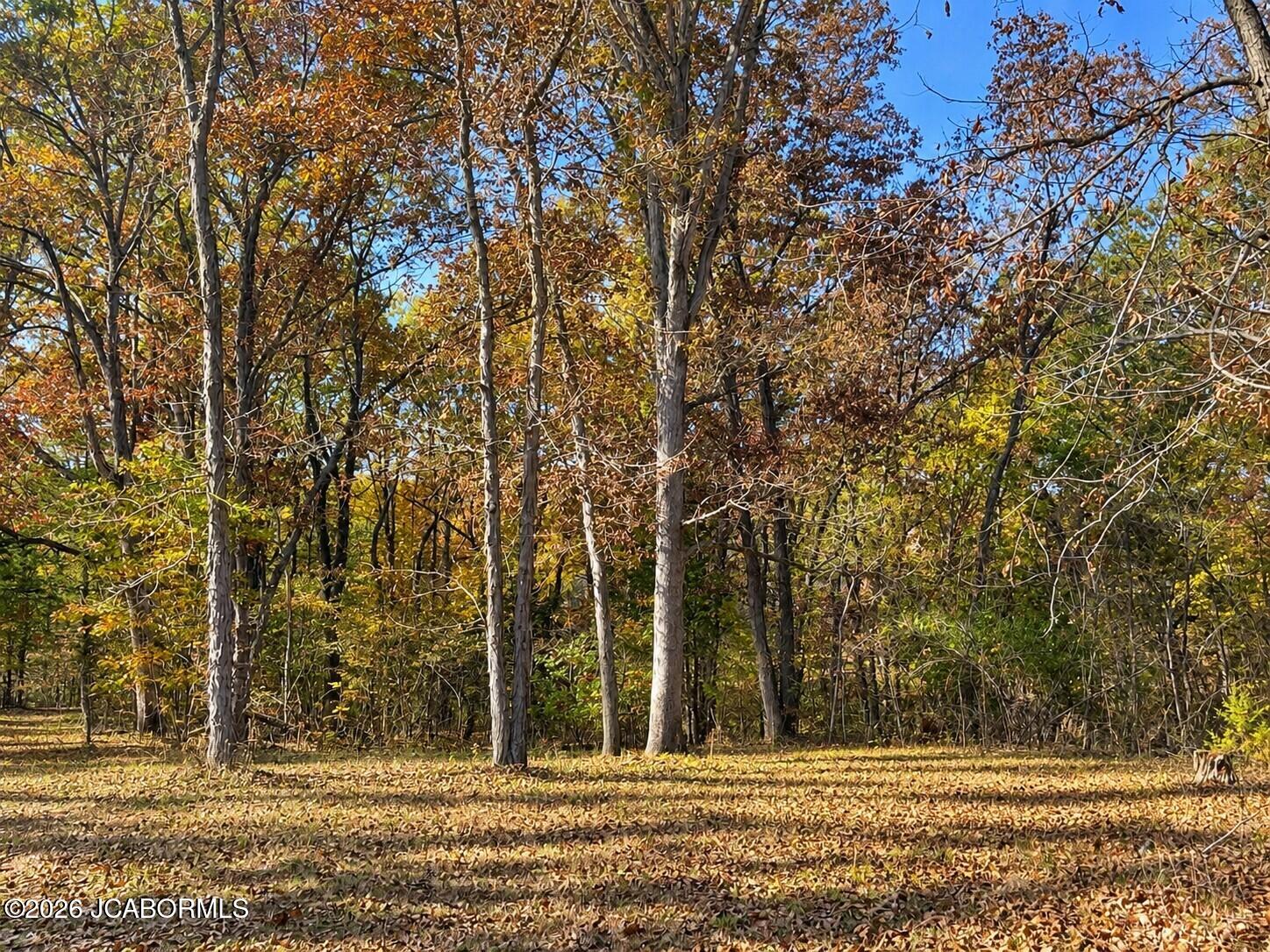 5854 O'keefe Ridge Property Photo 11