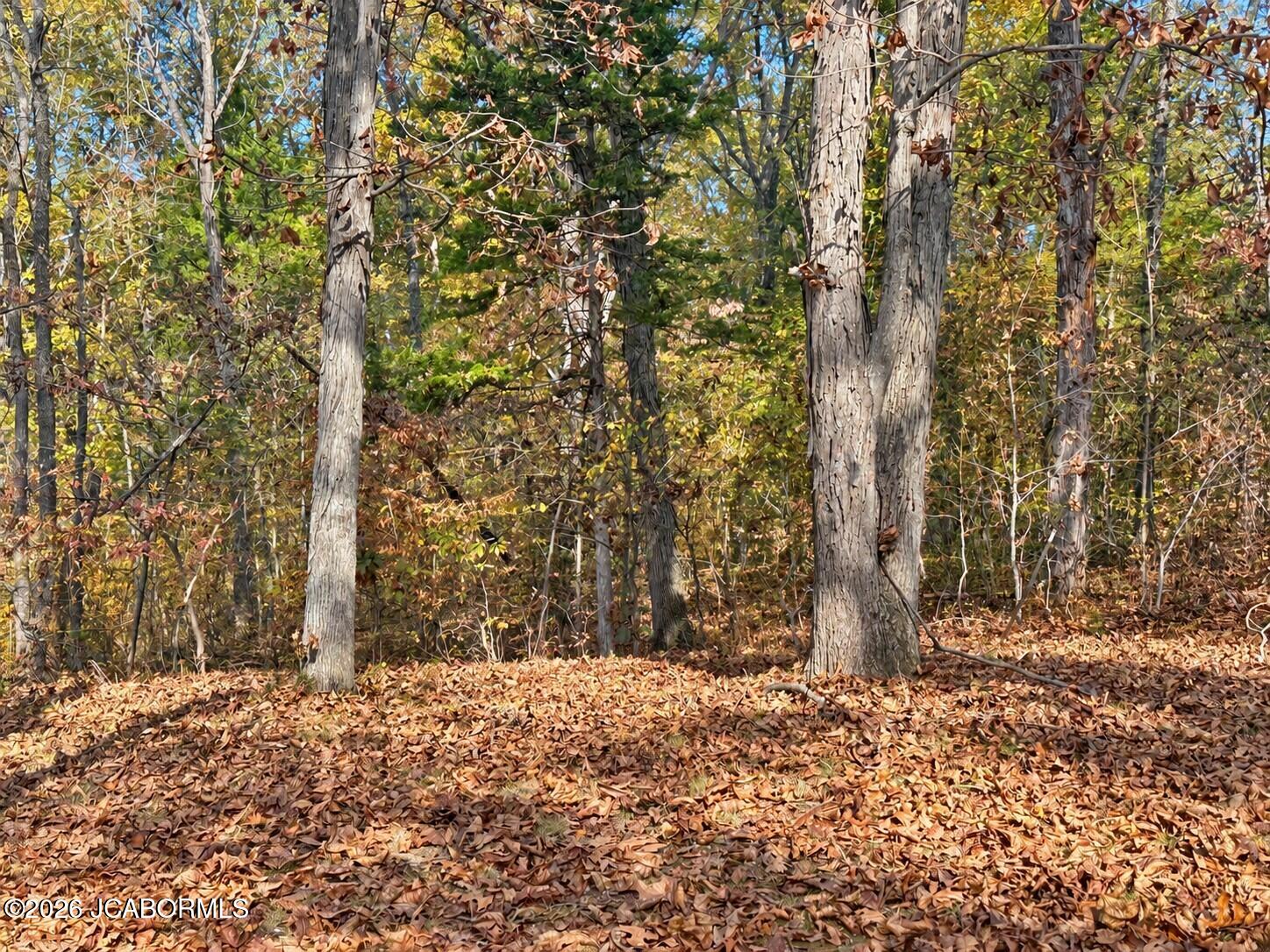 5854 O'keefe Ridge Property Photo 12