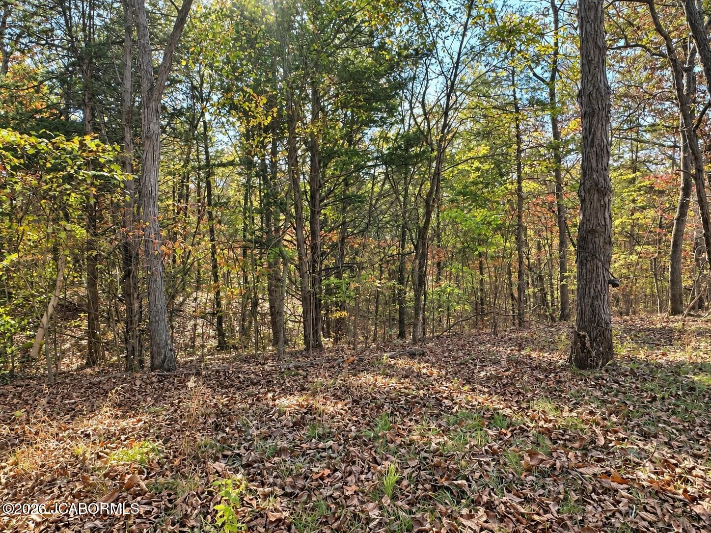5854 O'keefe Ridge Property Photo 13