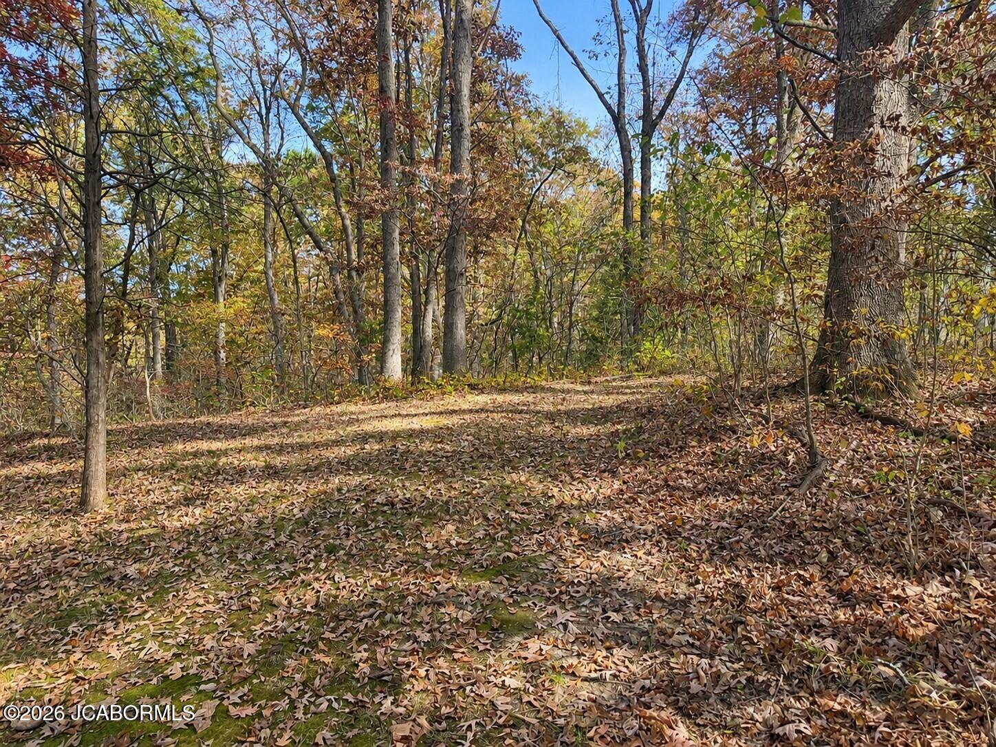 5854 O'keefe Ridge Property Photo 15