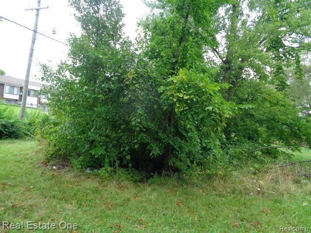 2881 17th St Property Photo 13