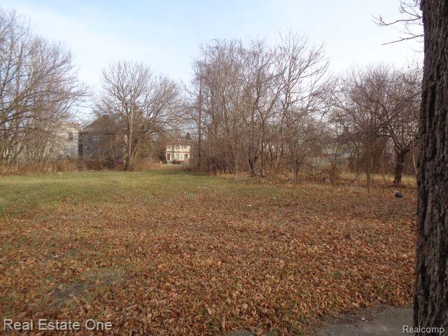 3806 Belvidere St Property Photo 1