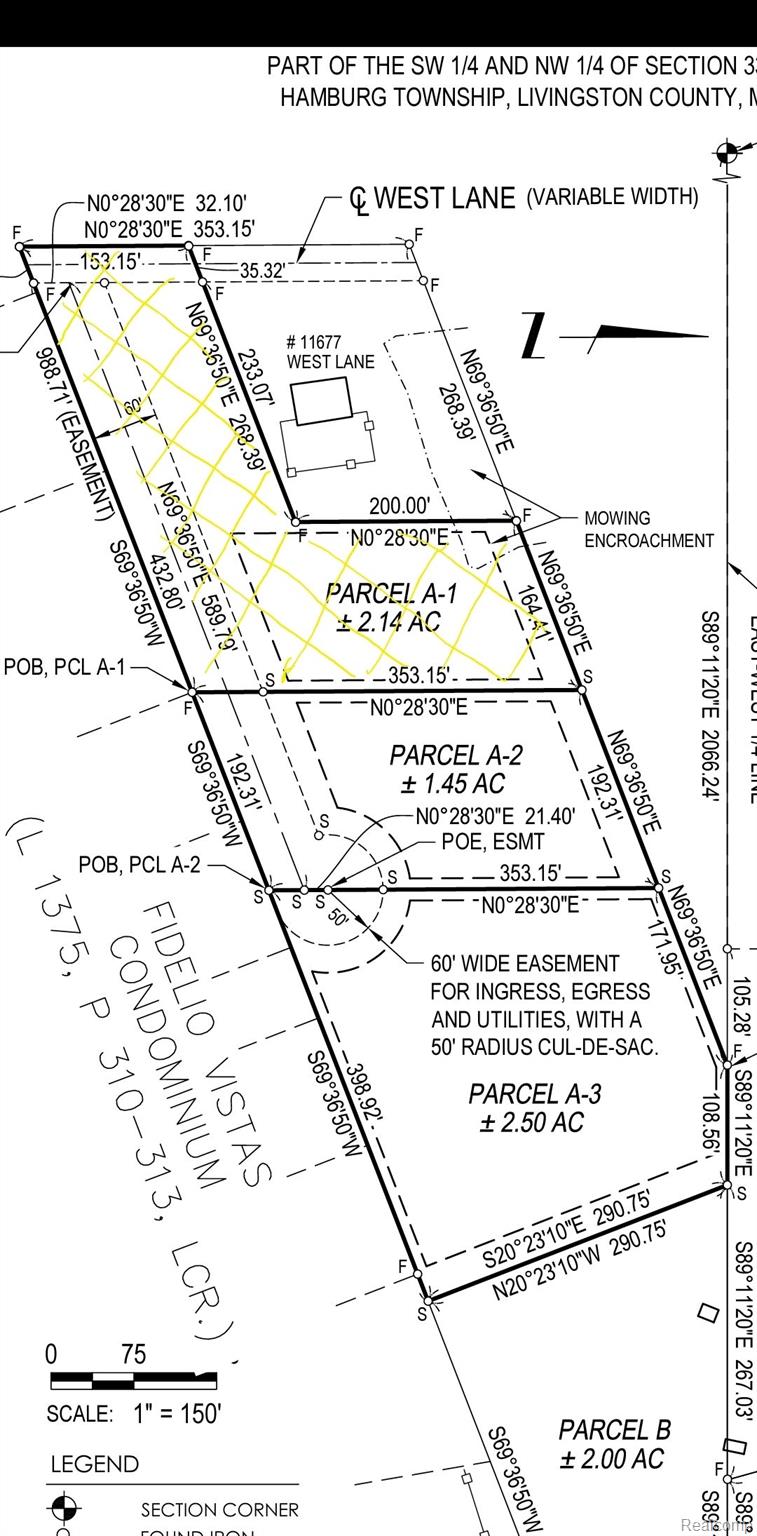 11663 Colangelo Ln Property Photo 5