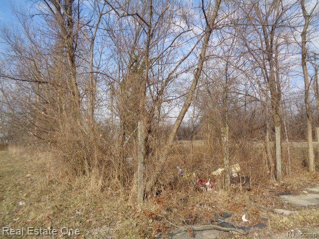 4293 16th St Property Photo 2