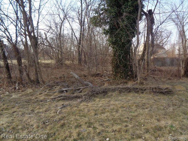 4293 16th St Property Photo 4