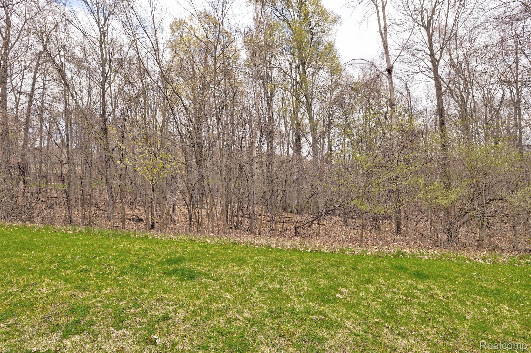505 BLUEBIRD TRL Property Photo 1