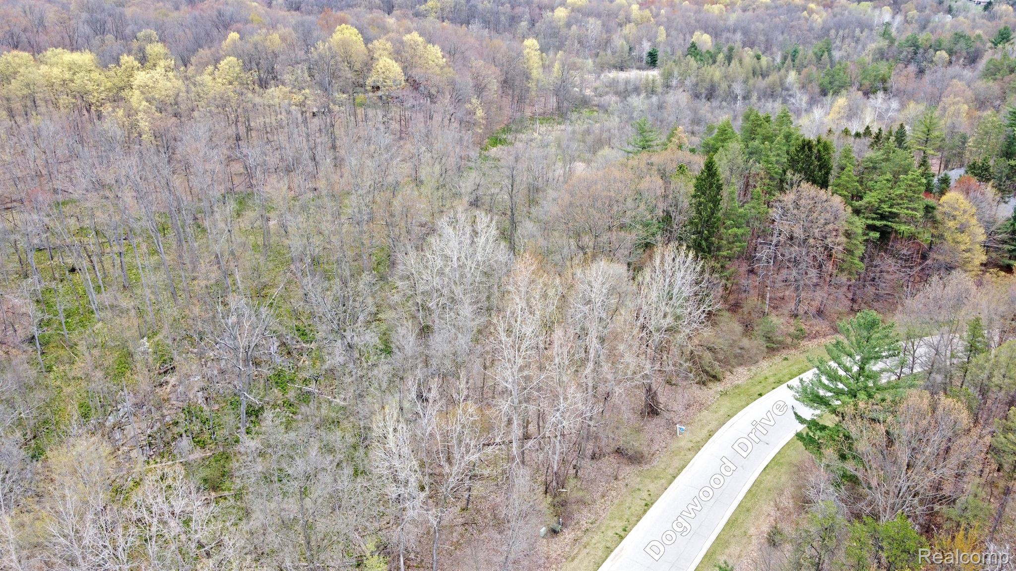 505 Bluebird Trl Property Photo 13