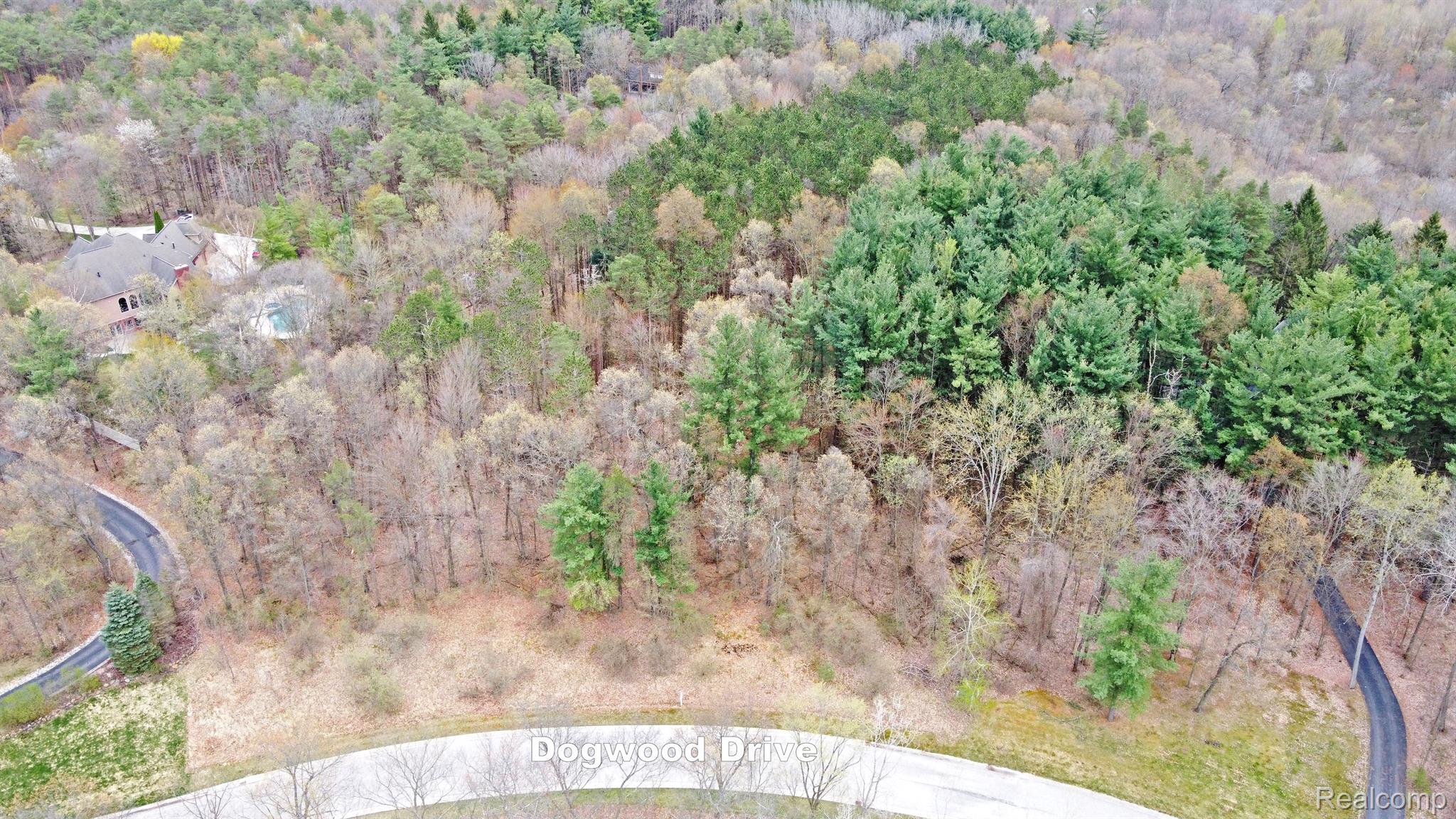 505 Bluebird Trl Property Photo 14