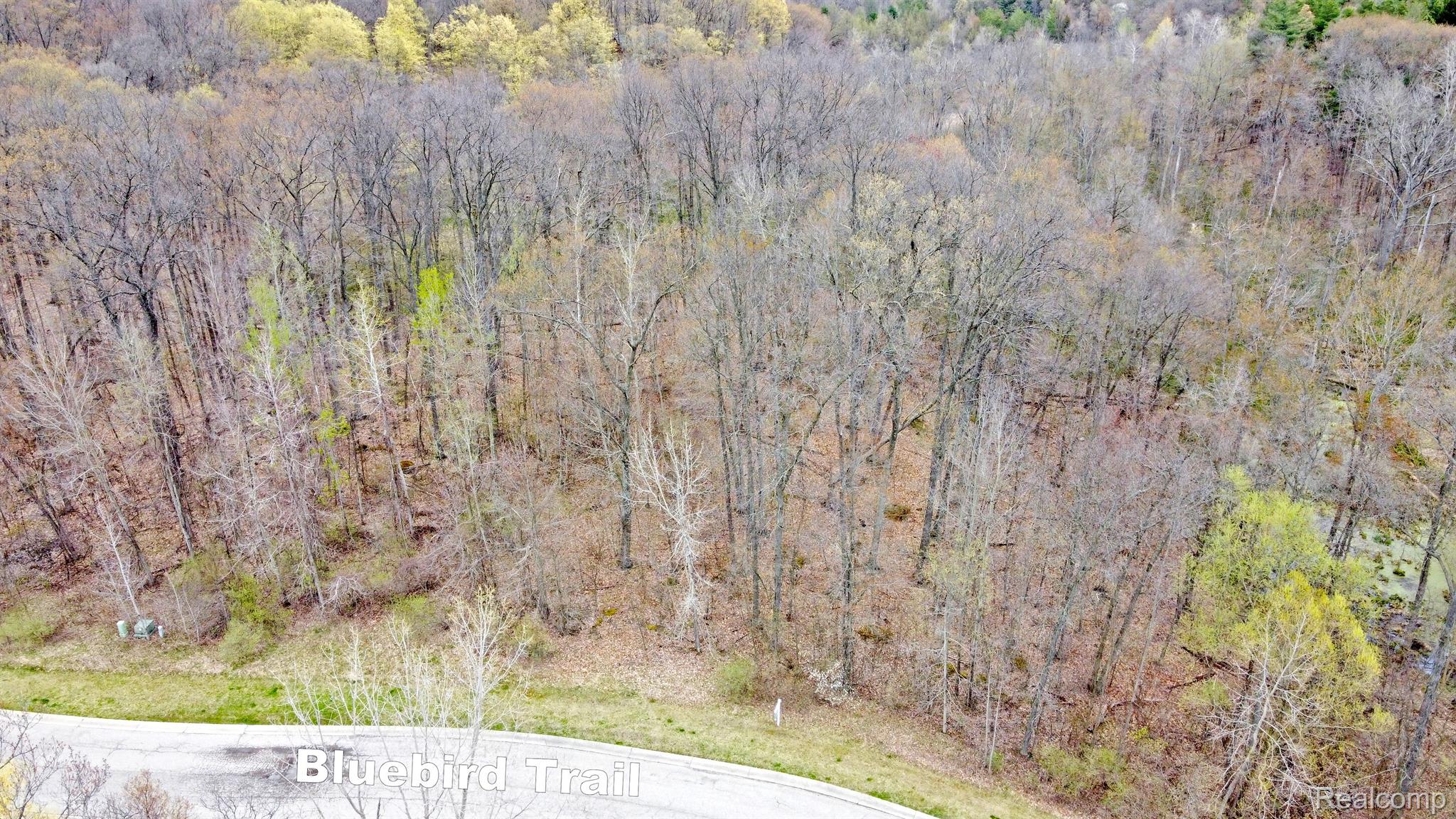 505 Bluebird Trl Property Photo 19
