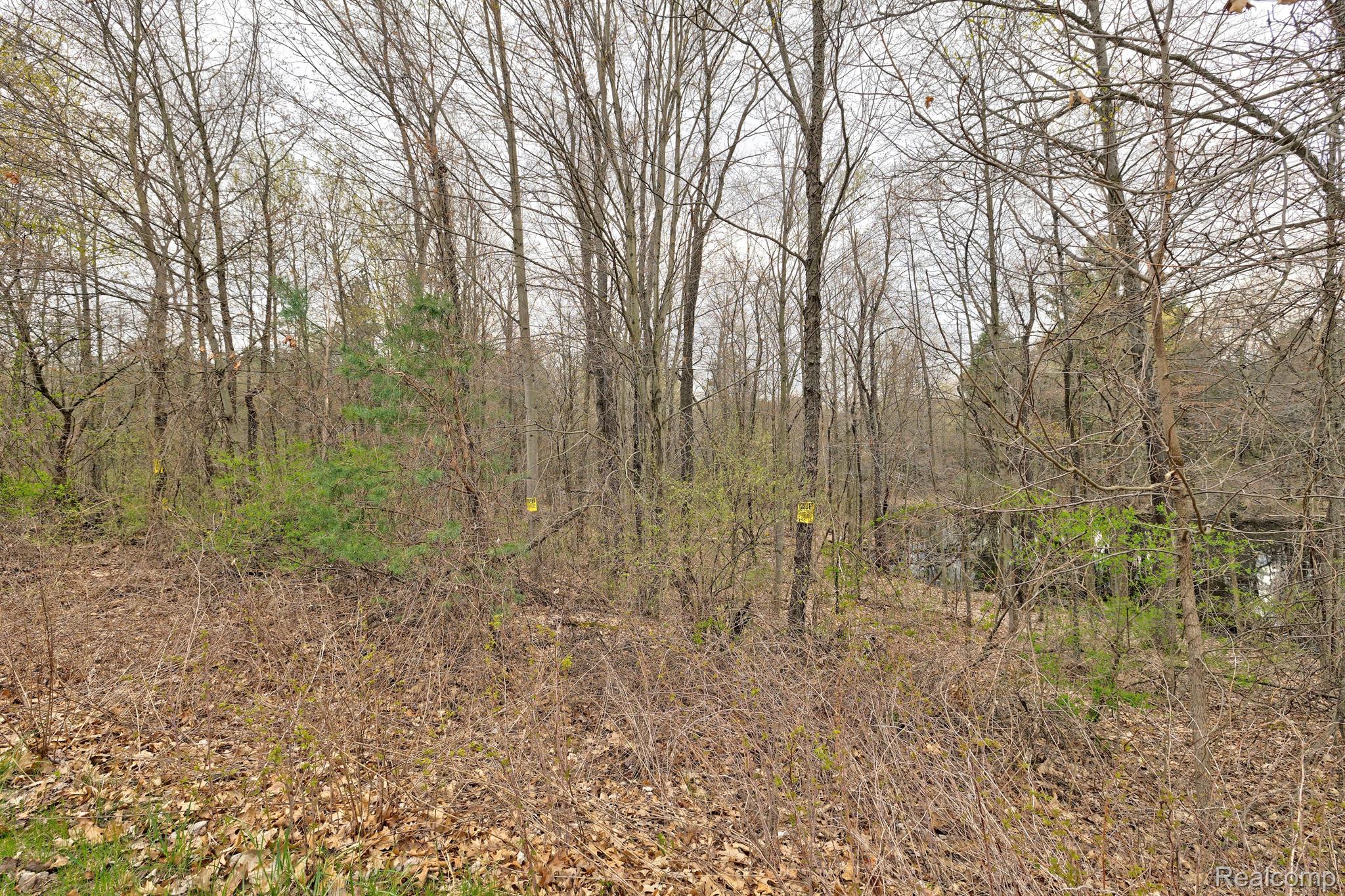 505 Bluebird Trl Property Photo 26
