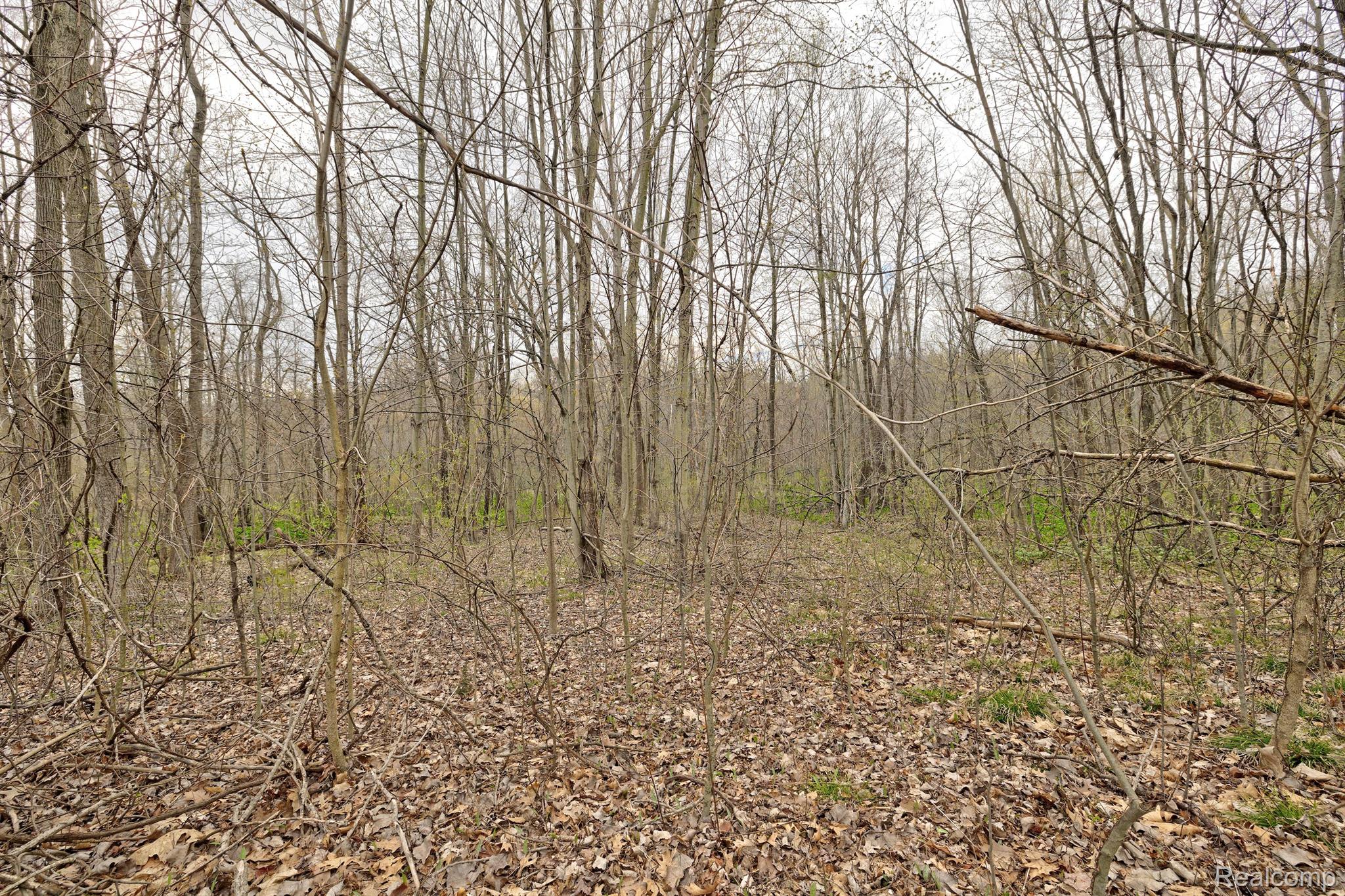 505 Bluebird Trl Property Photo 30