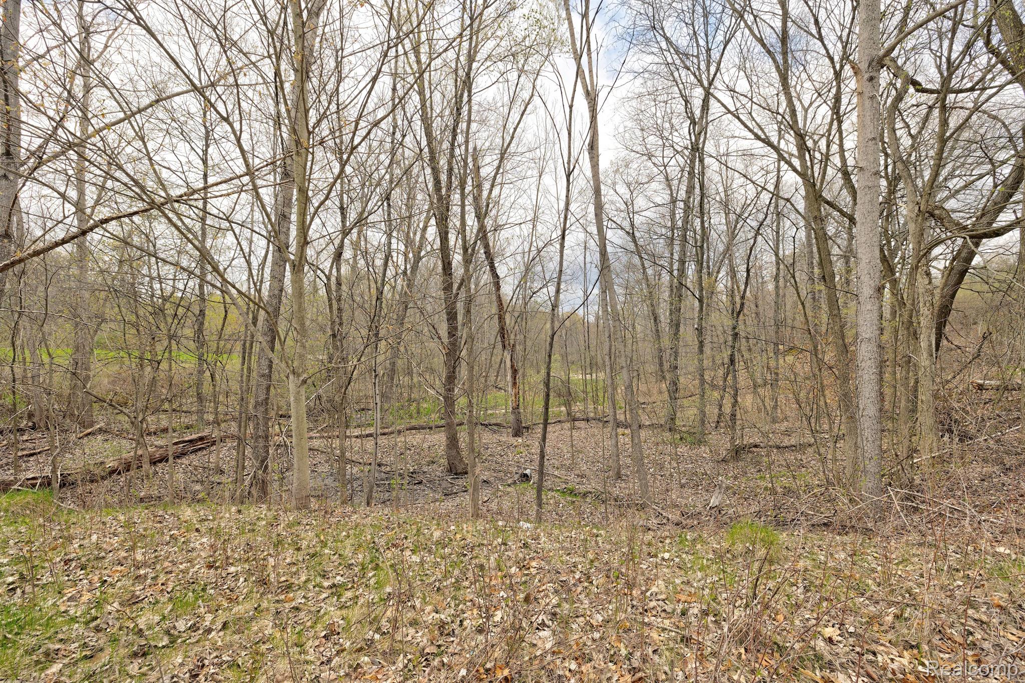 505 Bluebird Trl Property Photo 33
