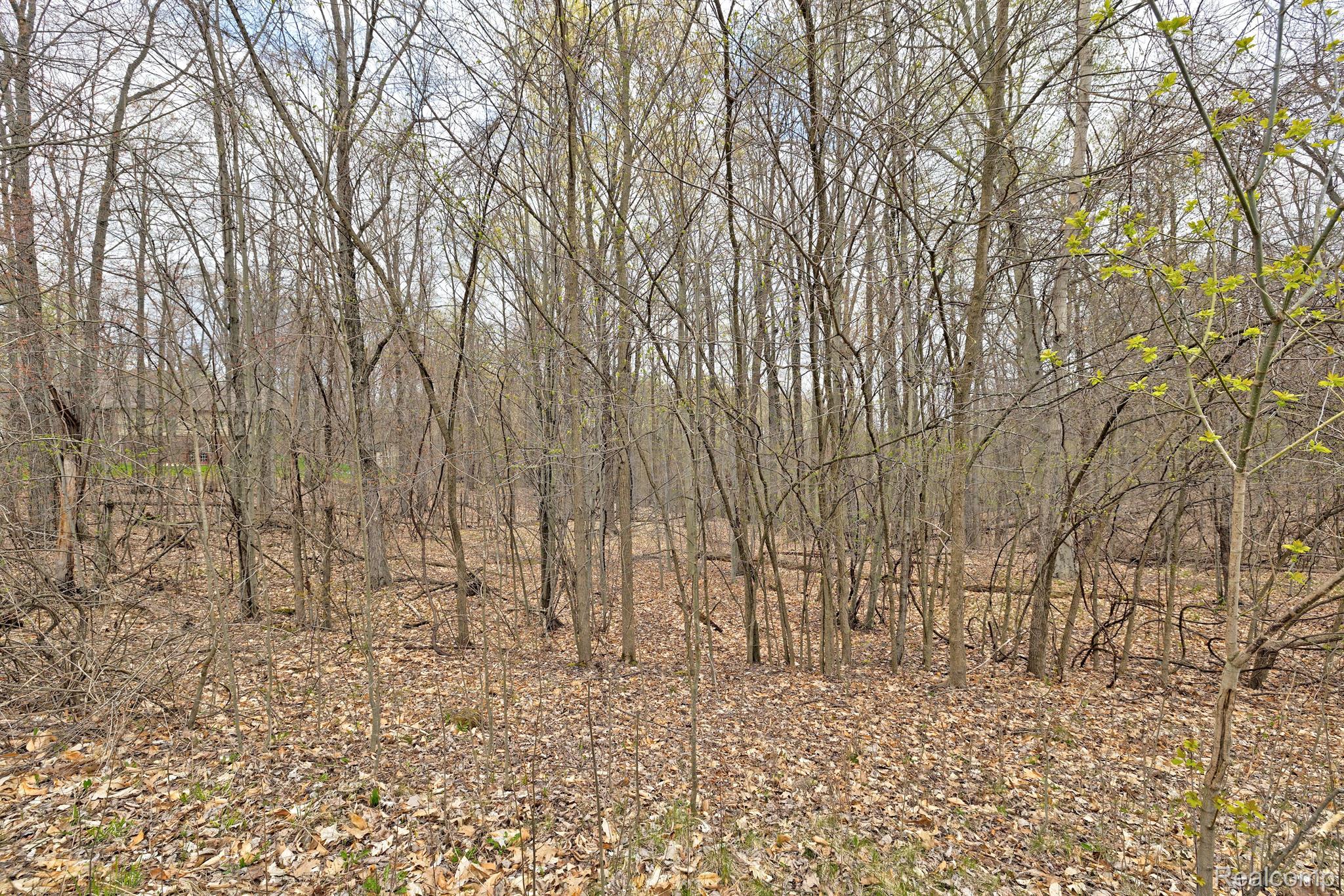 505 Bluebird Trl Property Photo 35