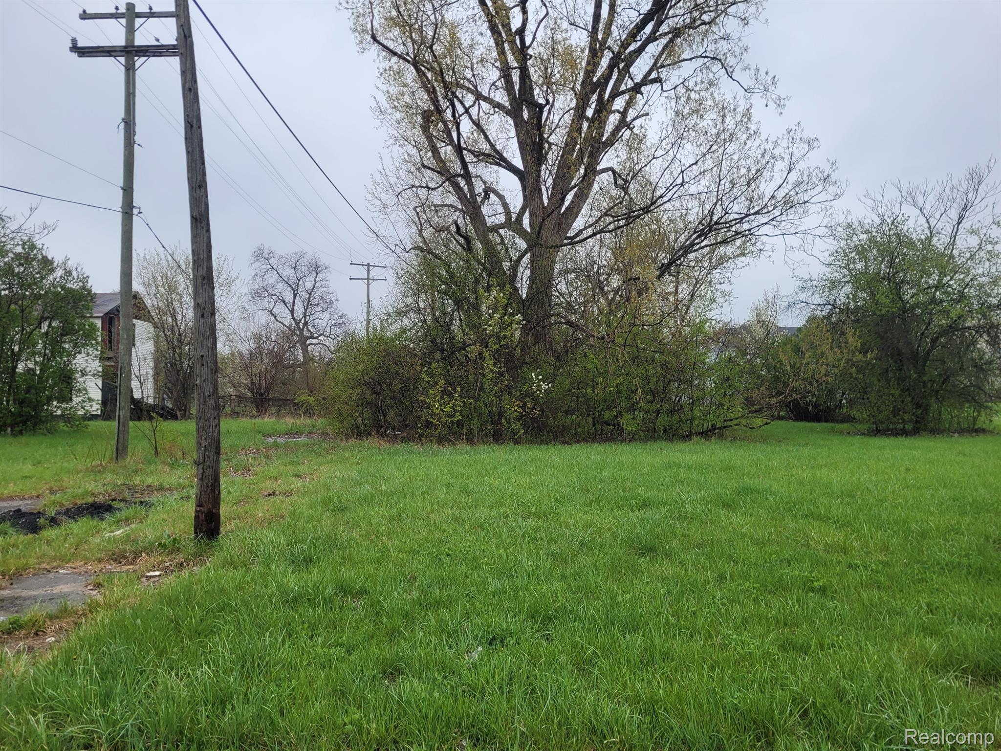 2427 Ash St Property Photo 3