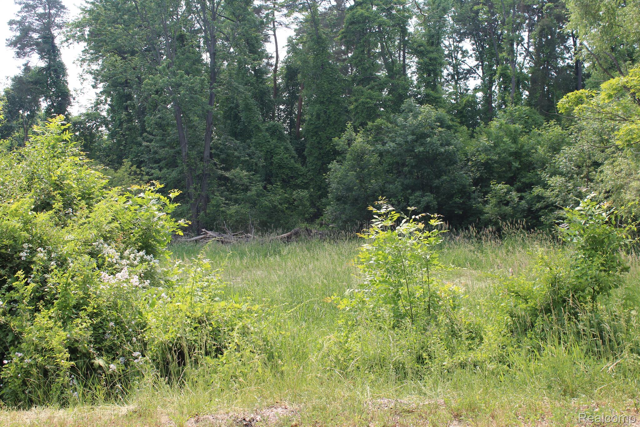 2722 Twin Oaks Dr Property Photo 7
