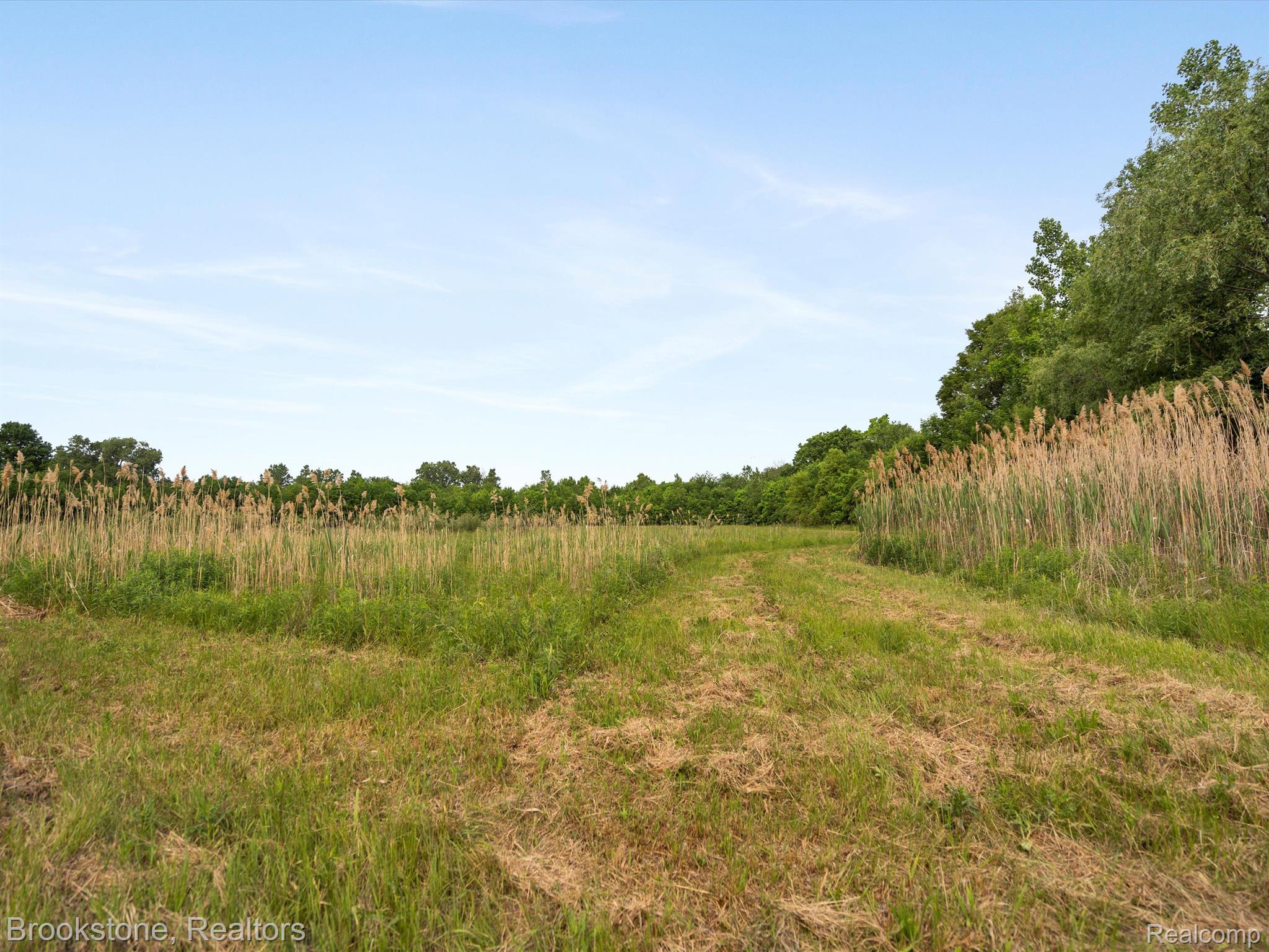 29 Mile Property Photo 16