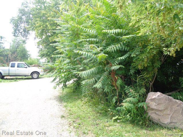 2927 Rosa Parks Blvd Property Photo 2