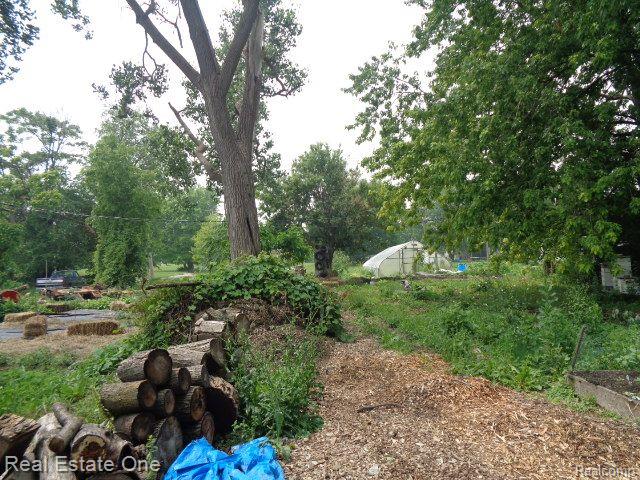 2927 Rosa Parks Blvd Property Photo 7
