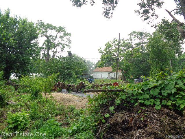 2927 Rosa Parks Blvd Property Photo 8