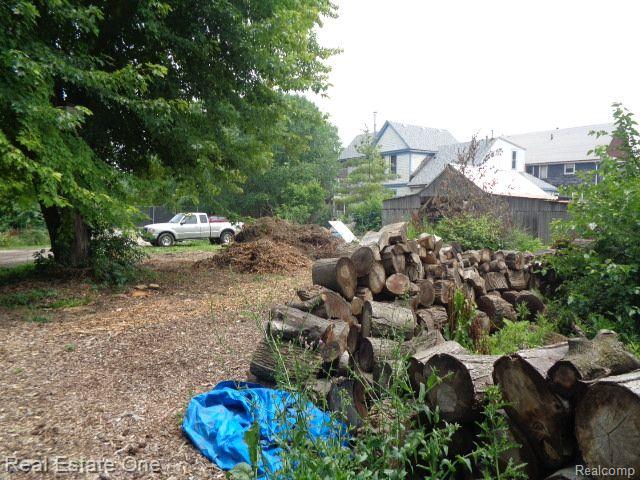 2927 Rosa Parks Blvd Property Photo 13