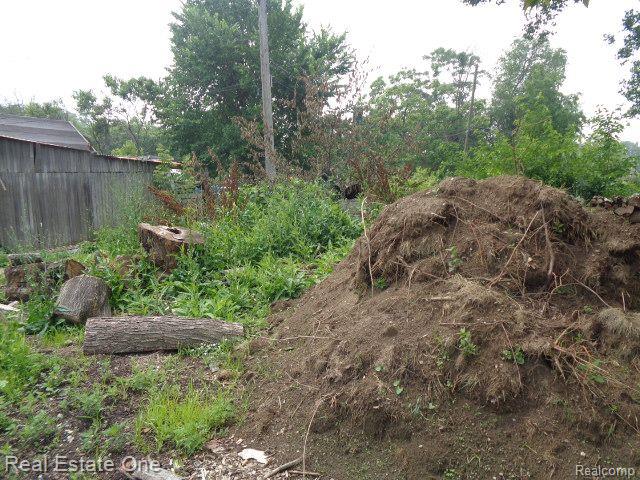 2927 Rosa Parks Blvd Property Photo 14