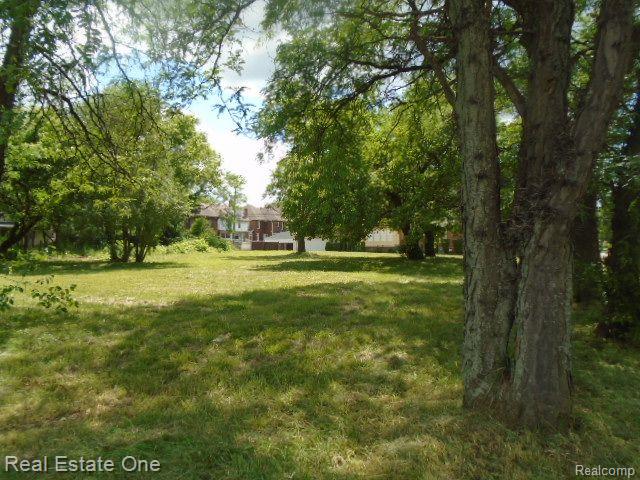 35 Edison St Property Photo 6