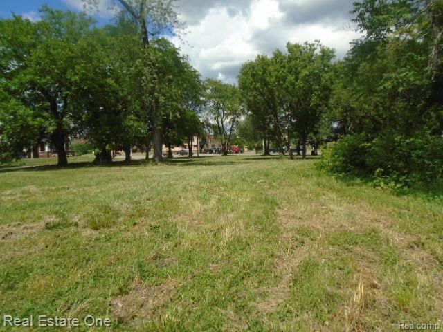 35 Edison St Property Photo 17
