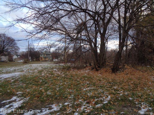 3066 Beals St Property Photo 4