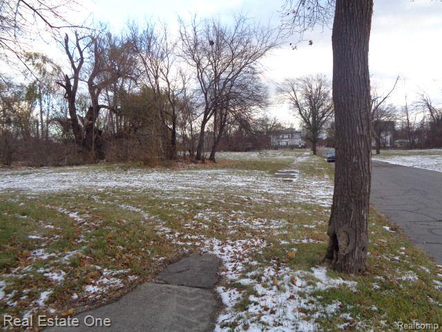 3066 Beals St Property Photo 6