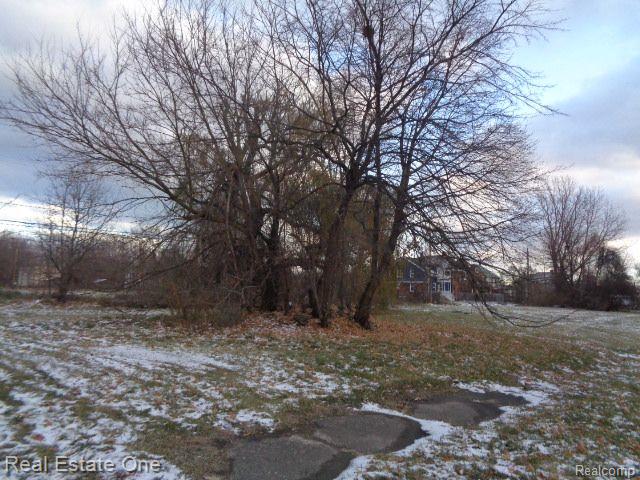 3066 Beals St Property Photo 9