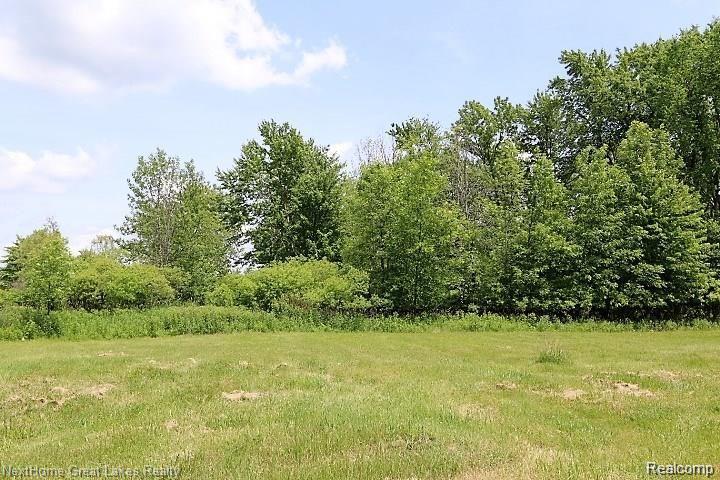 77 WESTWOOD DR Property Photo 1