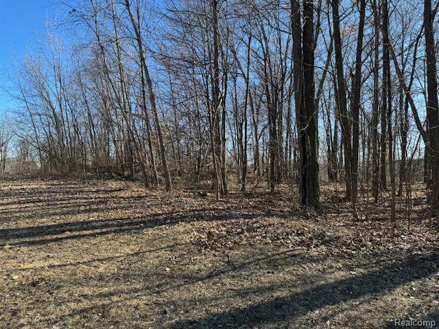 000 Dunckel Rd Property Photo 5