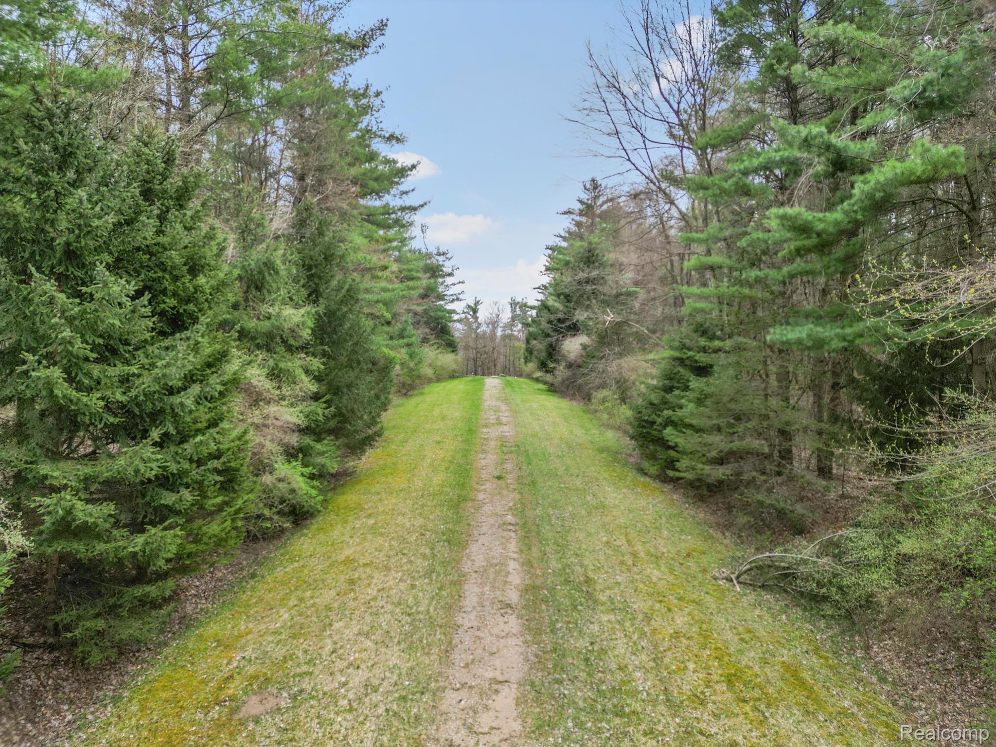 11.01 Acres Vacant Land Knights Bridge Rd Property Photo 2