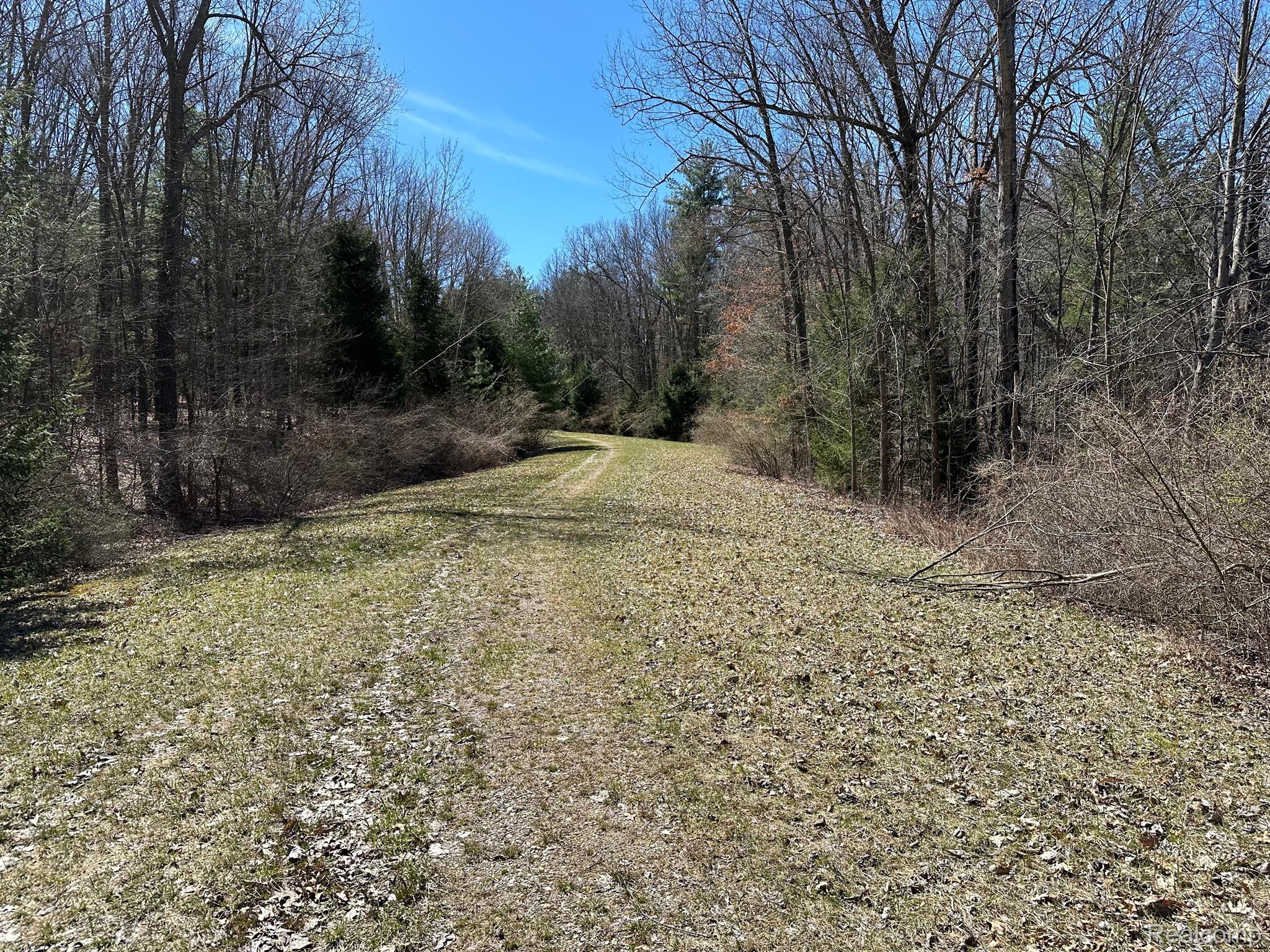 11.01 Acres Vacant Land Knights Bridge Rd Property Photo 3
