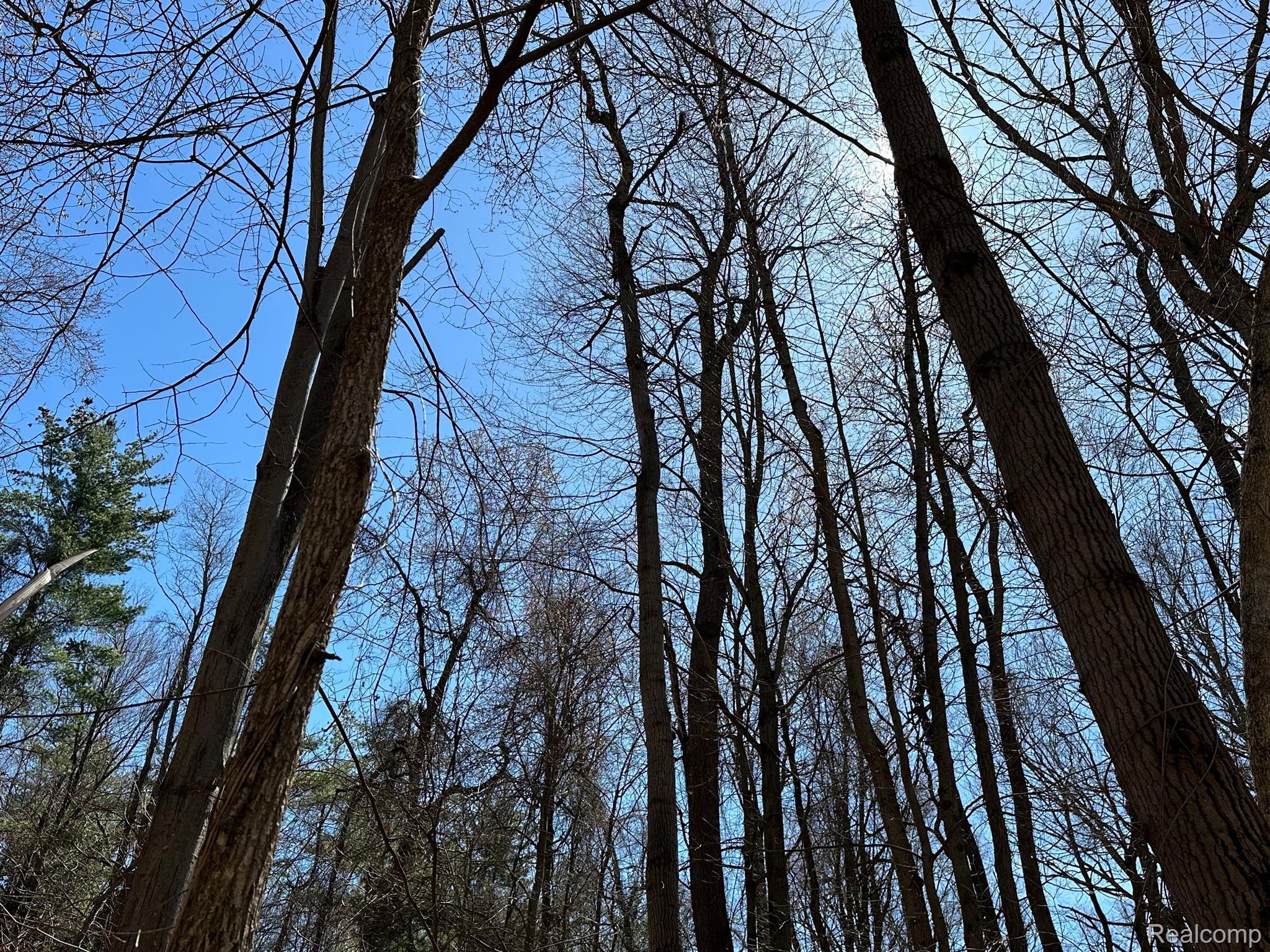 11.01 Acres Vacant Land Knights Bridge Rd Property Photo 5