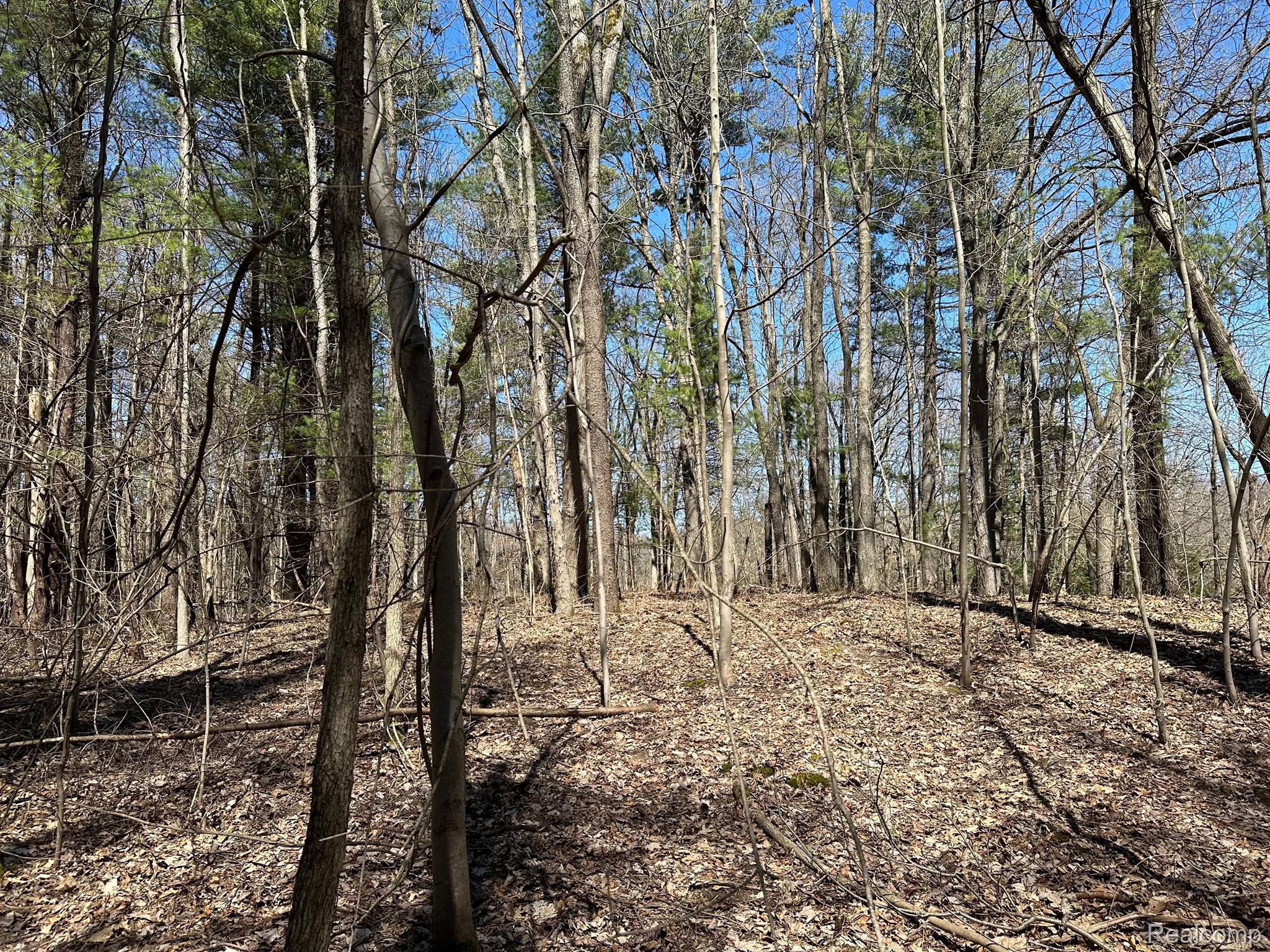 11.01 Acres Vacant Land Knights Bridge Rd Property Photo 7
