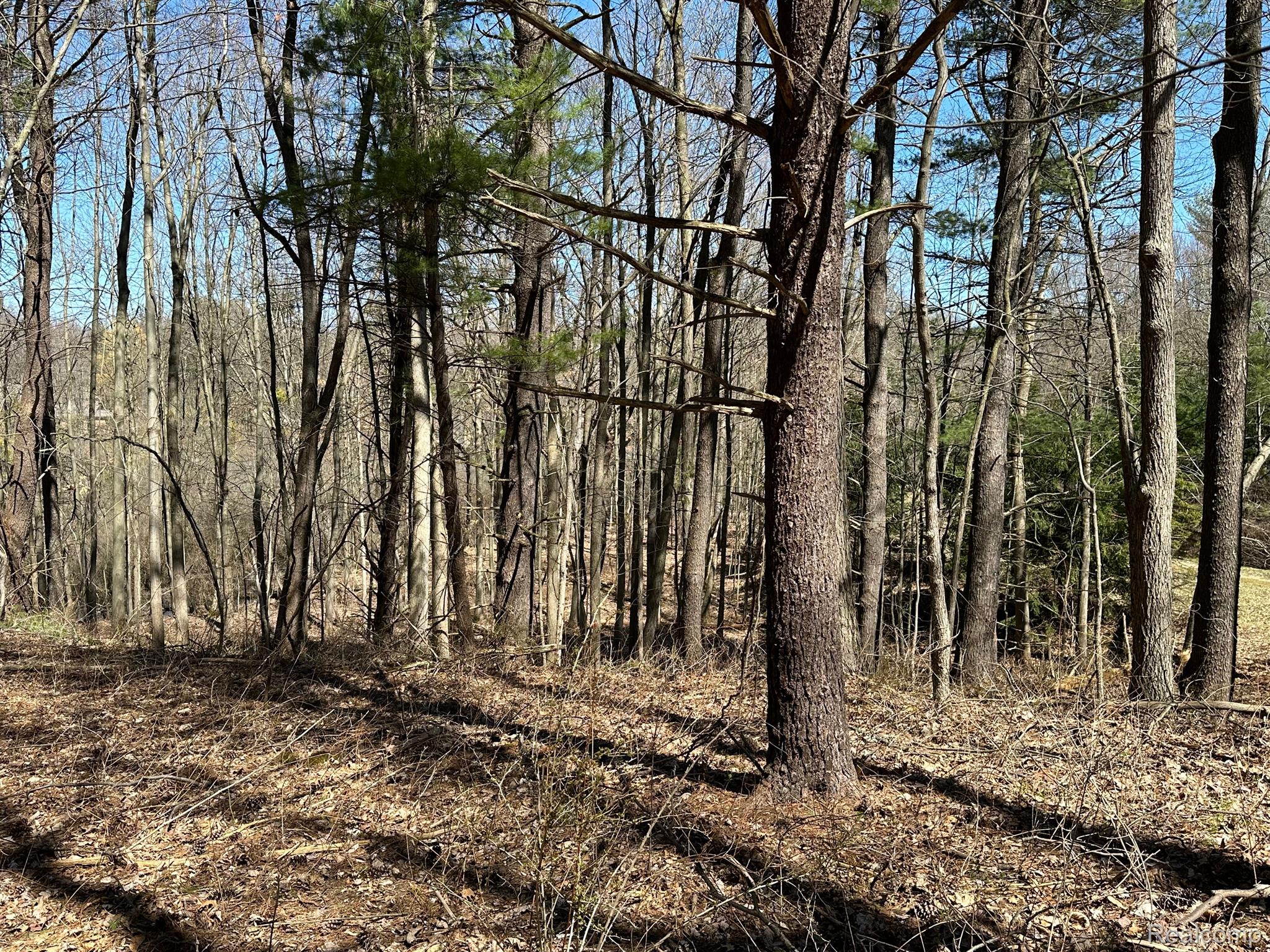 11.01 Acres Vacant Land Knights Bridge Rd Property Photo 8