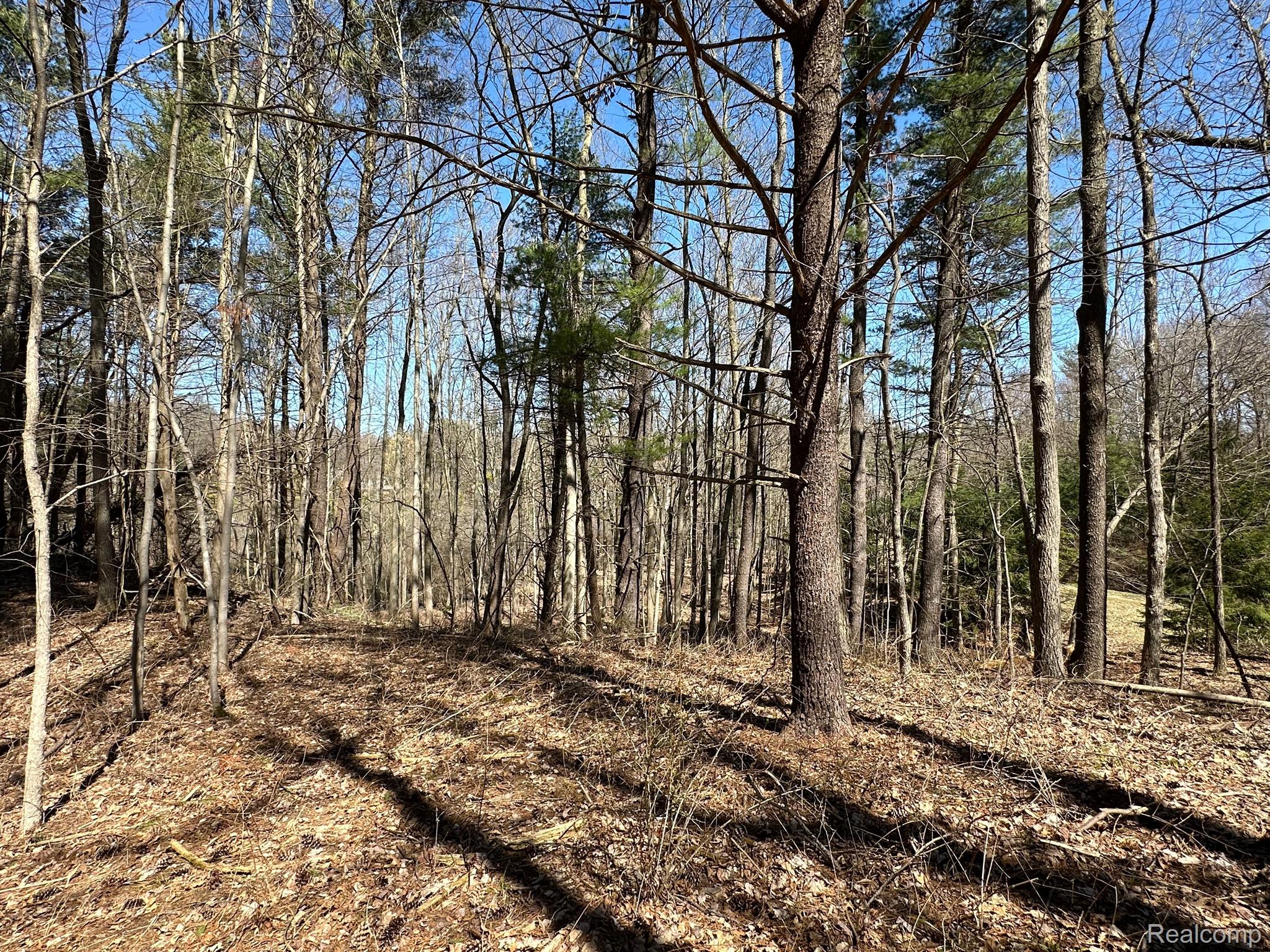 11.01 Acres Vacant Land Knights Bridge Rd Property Photo 10