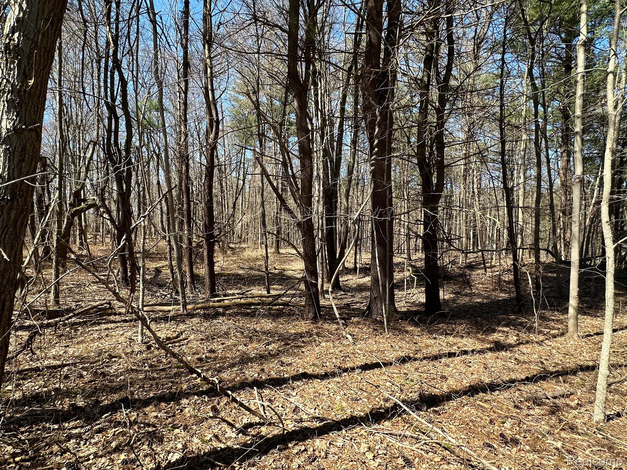 11.01 Acres Vacant Land Knights Bridge Rd Property Photo 11