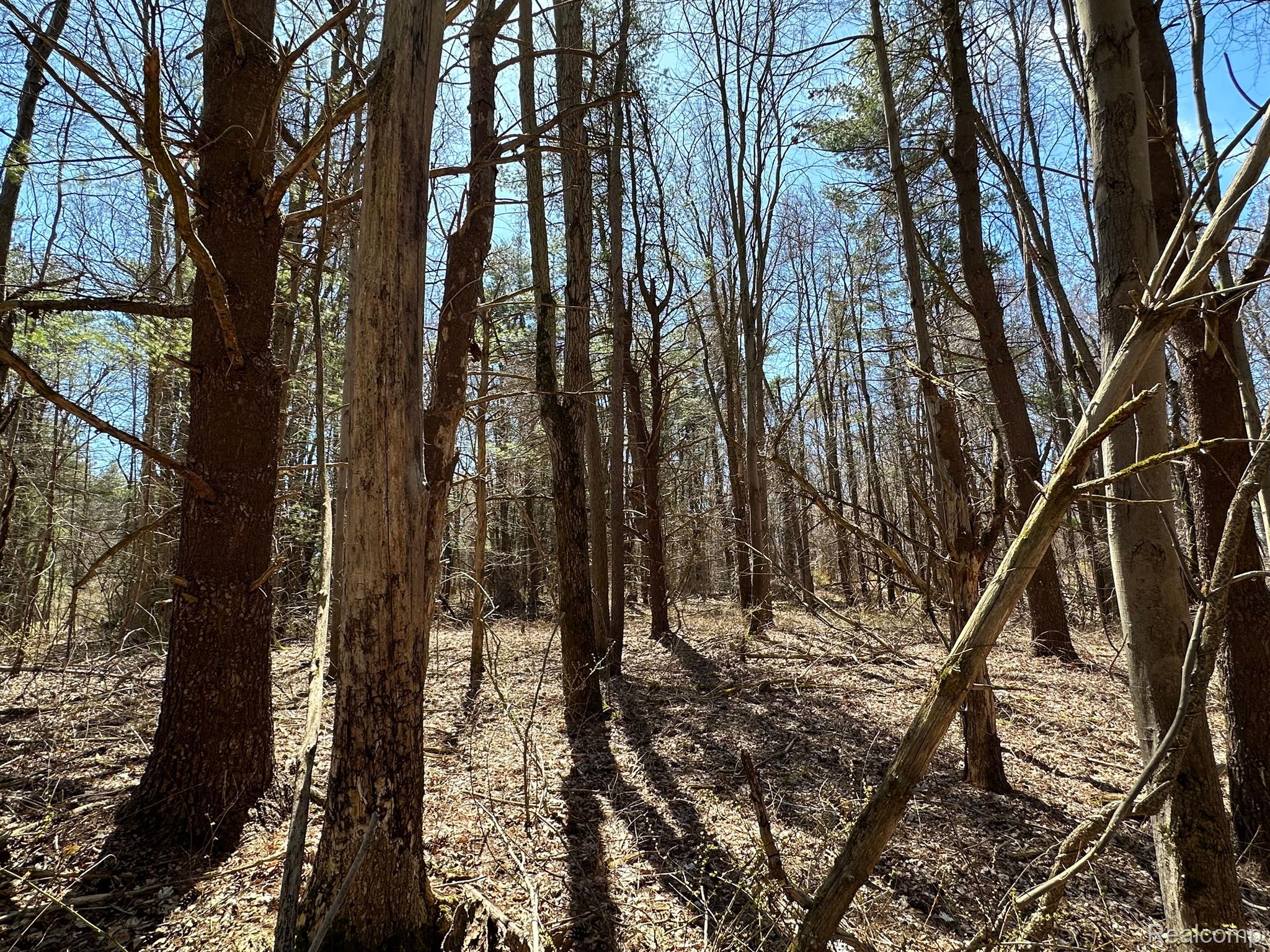 11.01 Acres Vacant Land Knights Bridge Rd Property Photo 12