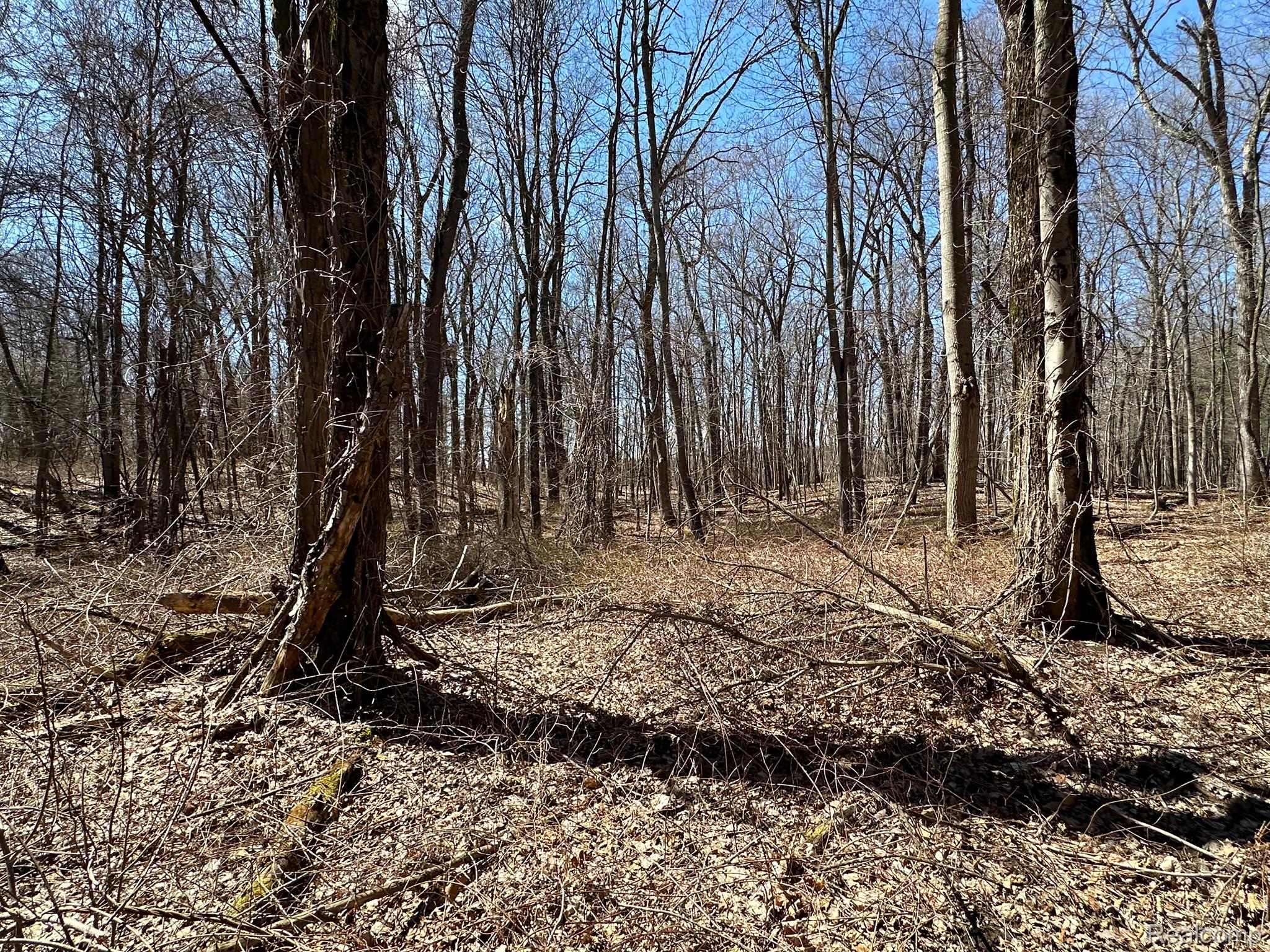 11.01 Acres Vacant Land Knights Bridge Rd Property Photo 14